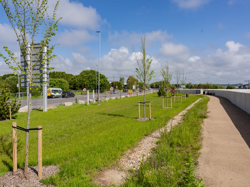 Linking the top of Eastern Road to the bottom of the city at Milton Common, the new coastal path is a perfect all-weather walk this Boxing Day. With duck ponds, the 'People's Memorial' and Coastal views along the way there is plenty to enjoy! | PCC
