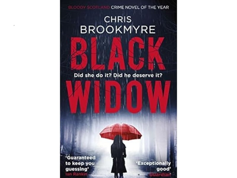 Chris Brookmyre won his first McIlvanney in 2016 for this twisty thriller that leaves the reader guessing right to the end. It's his seventh novel to feature investigative journalist Jack Parlabane. "Diana Jager is clever, strong and successful, a skilled surgeon and fierce campaigner via her blog about sexism. Yet it takes only hours for her life to crumble when her personal details are released on the internet as revenge for her writing. Then she meets Peter. He's kind, generous, and knows nothing about her past: the second chance she's been waiting for. Within six months, they are married. Within six more, Peter is dead in a road accident, a nightmare end to their fairytale romance. But Peter's sister Lucy doesn't believe in fairytales, and tasks maverick reporter Jack Parlabane with discovering the dark truth behind the woman the media is calling Black Widow..."