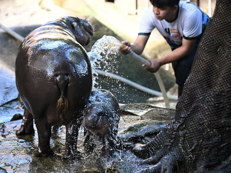 Mum and daughter enjoy a wash.