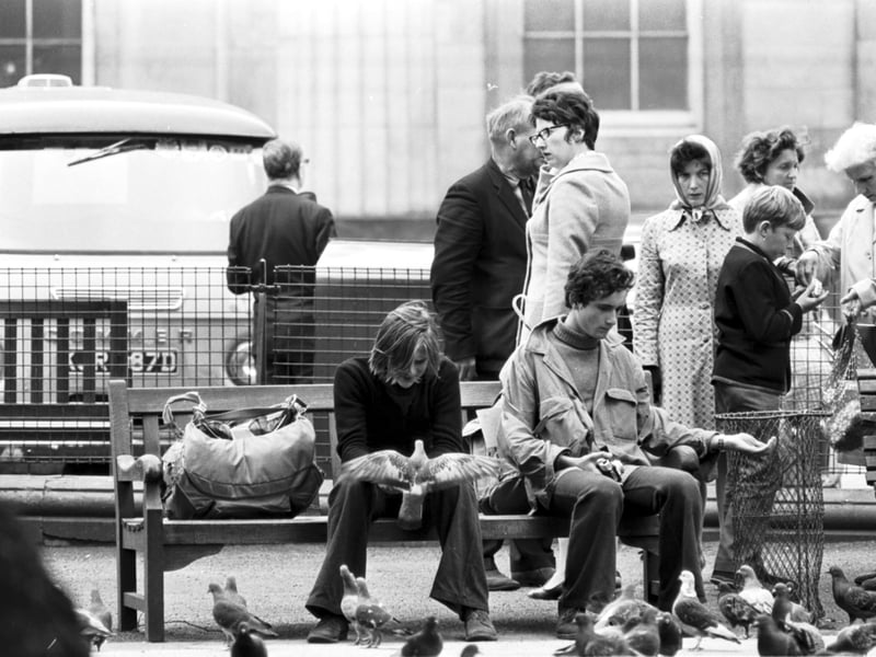 Students feeding pigeons in East Princes Street Gardens in Edinburgh, July 1970