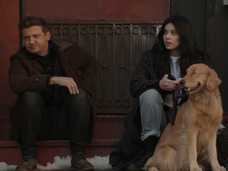 The final MCU TV show to be released in 2021, Hawkeye sees Jeremy Renner reprise his role as Clint Barton. After the events of Avengers: Endgame, the series follows Renner’s character as he partners with Kate Bishop – also Hawkeye – to confront his past enemies and get back to his family for Christmas. Reintroducing characters such as Wilson Fisk from Daredevil and Florence Pugh’s Black Widow character Yelena Belova, the series is among the highest rated MCU shows on Rotten Tomatoes with 92%.