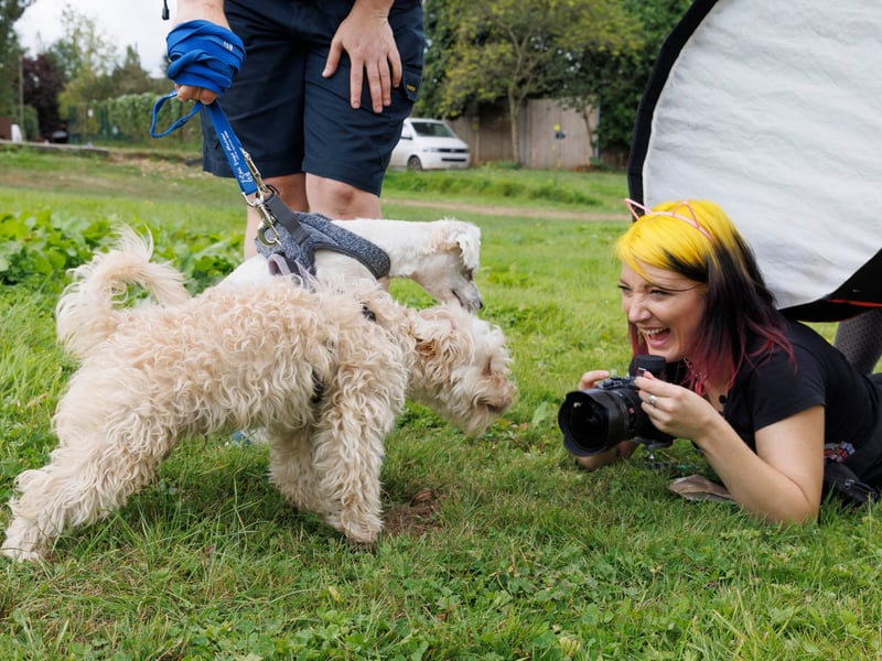 Cat Race from CatsDog Photography showcasing the loving duo Brian and Cody during a photoshoot for lonely dogs