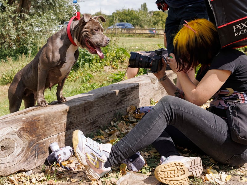 Cat Race from CatsDog Photography capturing the affectionate Zara