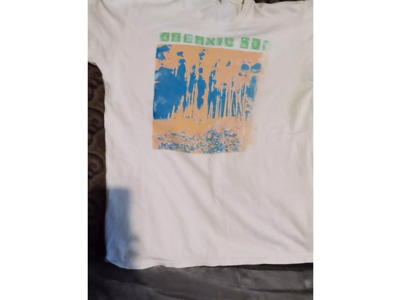 You'd be forgiven for not having heard of Galaxie 500 - an influential but relatively obscure American rock band who split up in 1991. They still have dedicated fans though - bidding this t-shirt up to £820 this month.