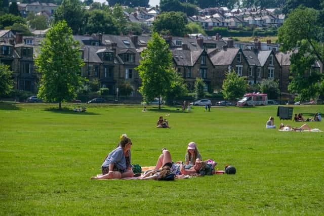 Parts of Endcliffe Park will be fenced off for ground investigation surveys over the summer. Photo: Dean Atkins, Iconic Media