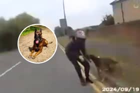 PD Vinnie detains teenager in Rotherham