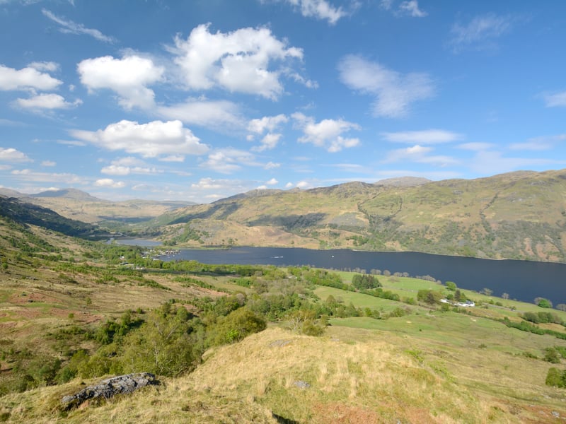 The agent said there is "significant potential for ongoing natural capital enhancement" on the estate, including opportunities such as woodland expansion and peatland restoration which could help the surrounding environment.