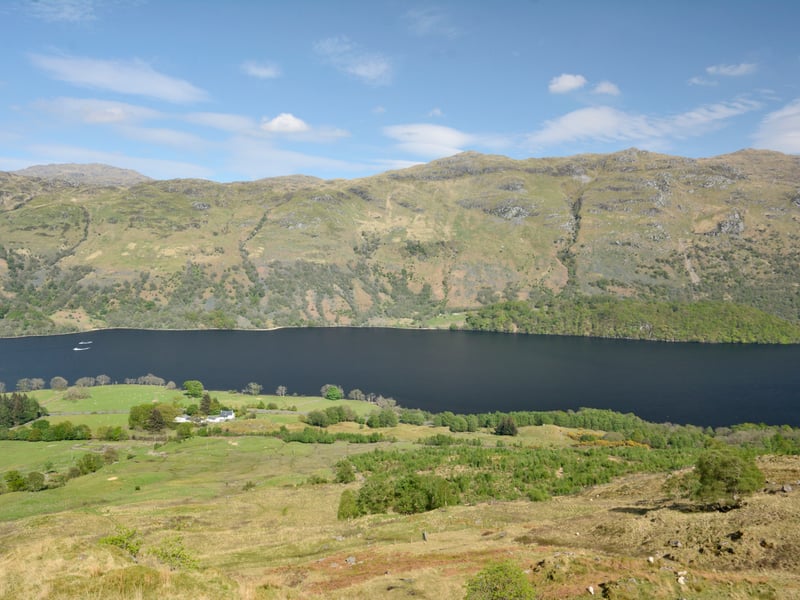 Along the lochside there are several inlets and beaches that provide access to the loch. The agent said there is a range of wildlife including otters, seals, red squirrels, black grouse and ospreys within a short distance of Stuckendroin Estate. Red deer are prevalent in the area but the flora and fauna also attract roe deer, foxes, and pine martens.