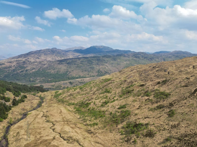The estate’s 3,611 acres "span a variety of landscapes, from fertile in-bye pastures to rugged open hill terrain". It includes 55 acres of permanent pasture, 12 acres of native woodland, and 248 acres of recently planted mixed-species woodland. The remaining land consists of open hill ground.