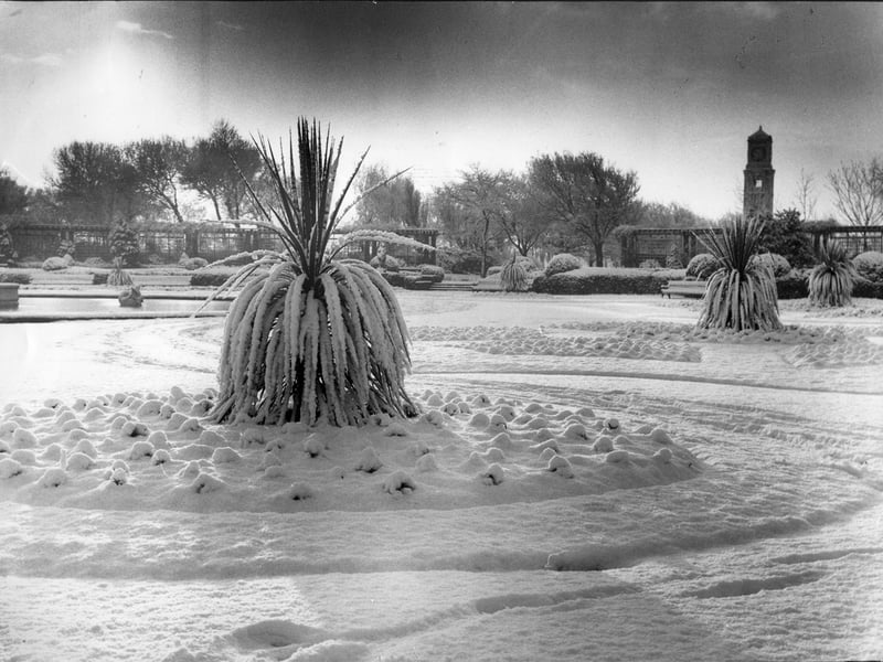 Under a blanket of snow in 1977