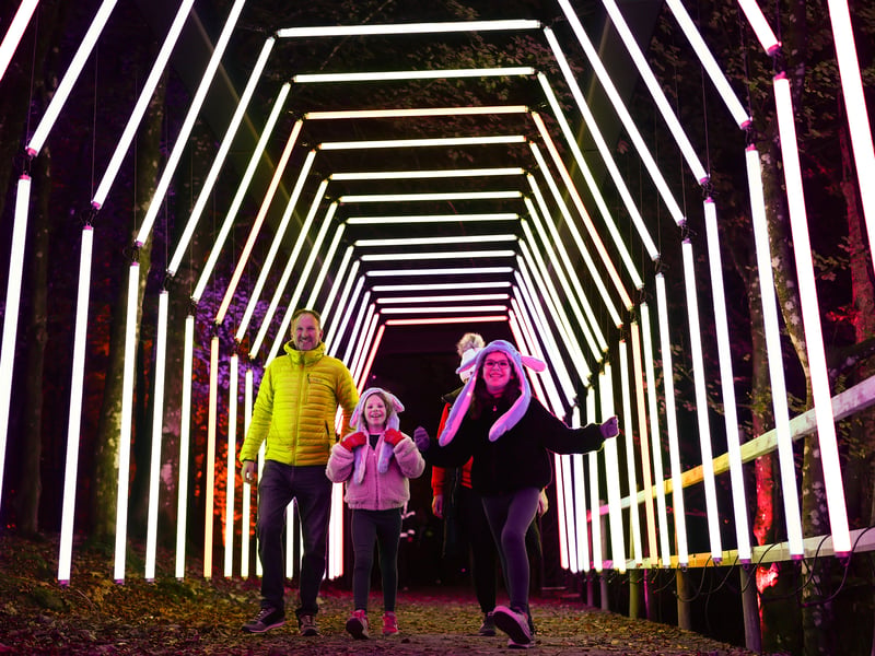 This year's show, Symphony of Nature, promises to be a kaleidoscopic outdoor experience, a journey through a symphony of lights, music, and the natural beauty of the forest Previous years' shows have attracted 800,000 visitors