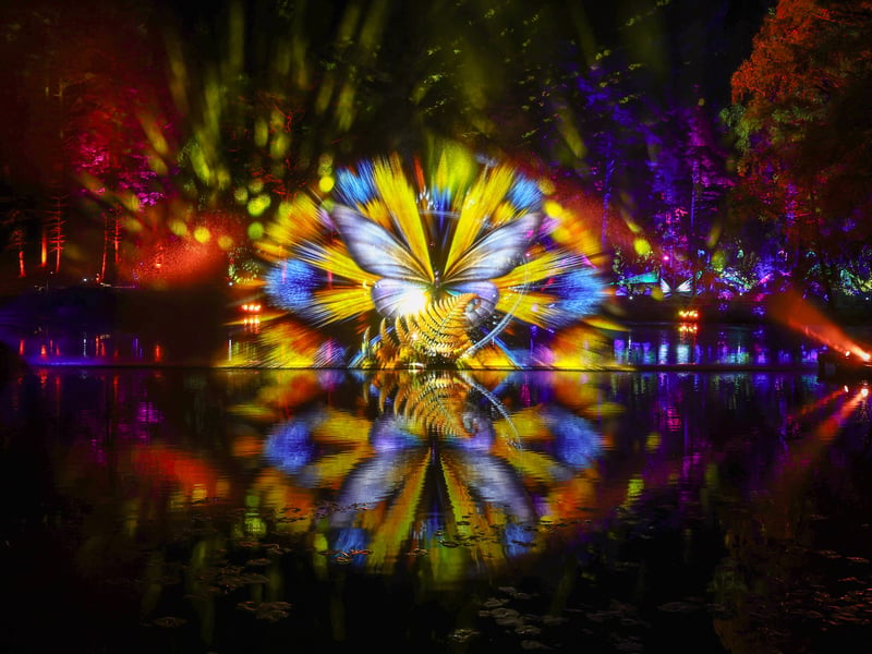 A light installation is reflected at the Enchanted Forest event in Faskally Wood 