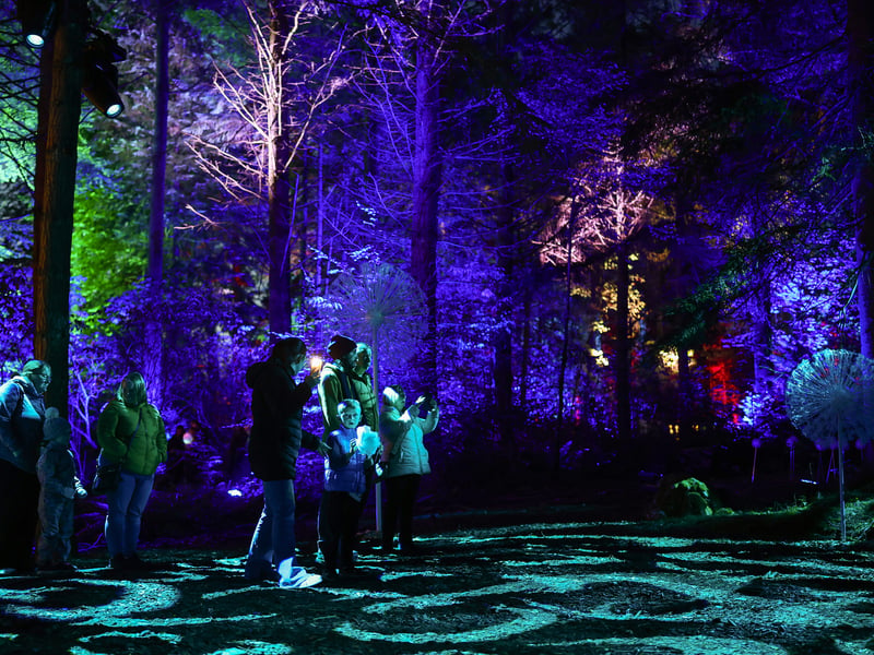 Enchanted Forest event at Faskally Wood