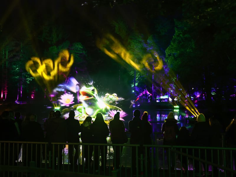 Members of the public attend a light installation at the Enchanted Forest