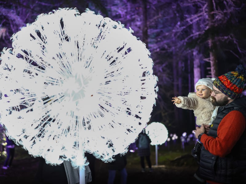 Enchanted Forest event at Faskally Wood on October 02, 2024 in Pitlochry, Scotland. 