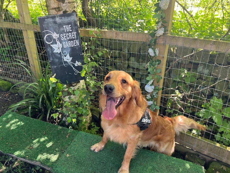 YEP reader Leanne Haigh named The Secret Garden Dog Park in Calverley as their favourite Leeds business. Leanne said: “It’s brilliant for my nervous dog to be off lead safe and secure, and the park is so clean and well maintained.” 