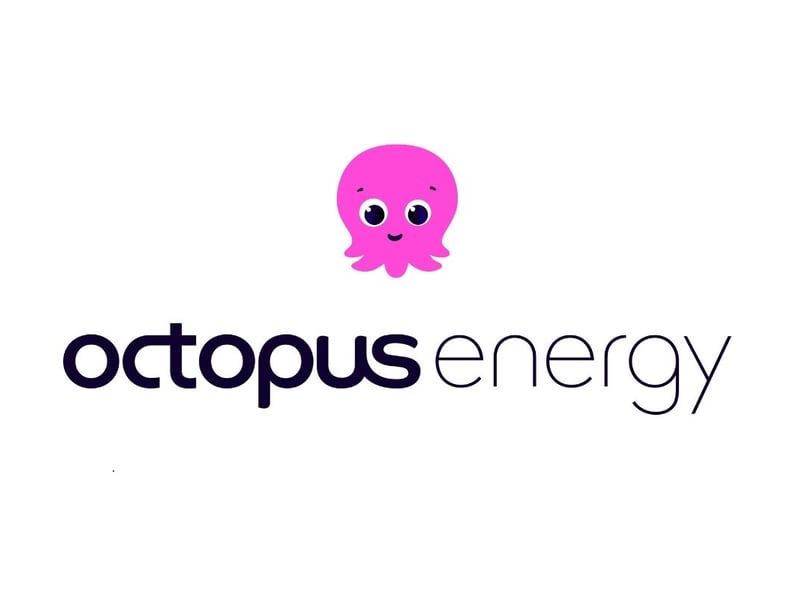 Octopus Energy comes out on top as the best company in the UK to work for, with an index score of 87.16 out of 100. The energy company, with CEO Greg Jackson at the helm, was founded in 2015, and the 722 reviews in the UK rate it highly across the board. The company scored an average culture and values rating of 4.56 and an average diversity and inclusion rating of 4.55. The average senior management rating scored well, at 4.27, and the average career opportunities rating scored 4.22. Employees on Glassdoor.com demonstrated how happy they are to work for the company, with 86 per cent saying they would recommend it to a friend. Octopus Energy is a British renewable energy group which is currently the UK's largest supplier of electricity to domestic customers, and the second largest in domestic gas.