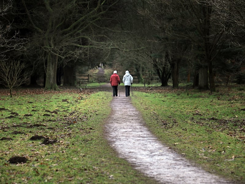 The Forest of Dean is the perfect place to take in the majesty of nature. But according to Mobiles.co.uk's analysis it is one of the worst attractions to get a phone signal at - so you may have to wait to share that perfect photo you snapped. Photo: Matt Cardy/Getty Images
