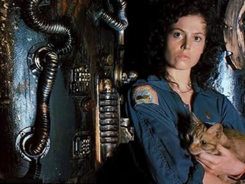Ridley Scott's 1979 masterpiece Alien is pretty much the perfect horror/scifi. It follows a spaceship crew who investigate a derelict spaceship only to find a deadly extraterrestrial creature - led by Sigourney Weaver iconic character Ellen Ripley. If you've never seen it before now is the perfect time - it's available on the BBC iPlayer. 