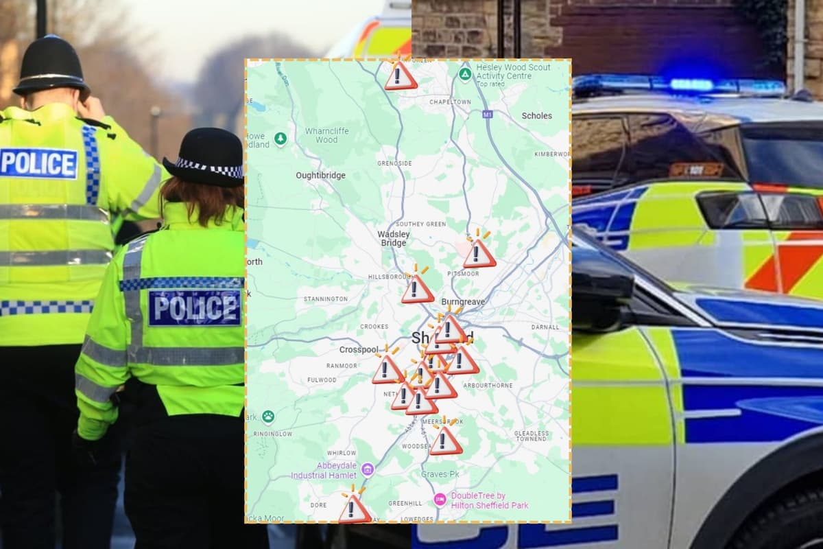 Sheffield crime 2024: Scourge of shoplifting has hit these 14 city streets ...