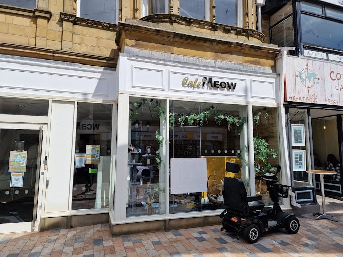 Birley Street, Blackpool, FY1 1DU | 5 out of 5 (134 Google reviews) | "Friendly staff, calm atmosphere and loving cats in need of a forever home."