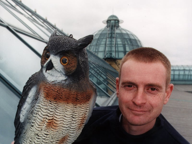 Meadowhall's maintenance man, John Thorpe, secures the shopping centre's new rooftop bird to scare away unwanted magpie visitors