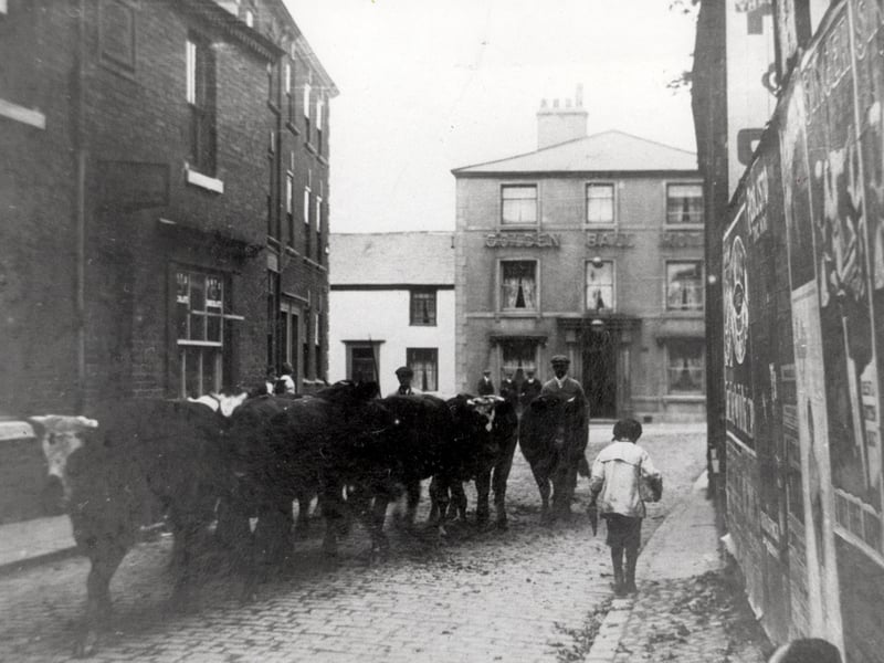 Historic Poulton with cattle being led from the cattle market which was held on land behind the Golden Ball ( in the background ). The land and buildings , which were once used as stables and sheds for the cattle, are to be redeveloped by Booths who are building a new supermarket on the site