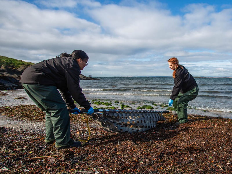 Rescuers work to help Ariel on the beach