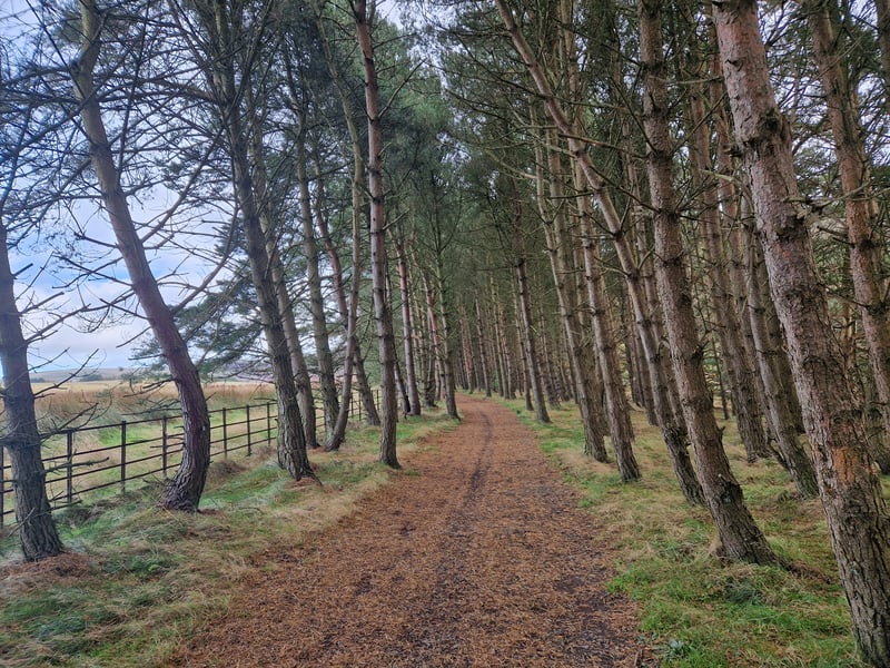 This Pentland Hills route was named the best family walk in Scotland earlier this week, with an overall score of 9.97 out of 10 in a study carried out by outdoor experts Millets. Located near Balerno, the 4.5km circular trail is considered an easy route and takes an average of one hour and three minutes to complete. Great for little ones who can't walk for hours, this is well worth trying out this winter to get a nice wee dose of country air in your lungs.