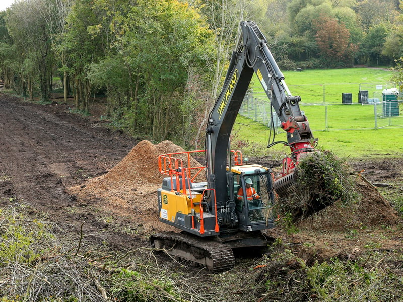 Trees and shrubs are being removed from the site to create the new sea defences
