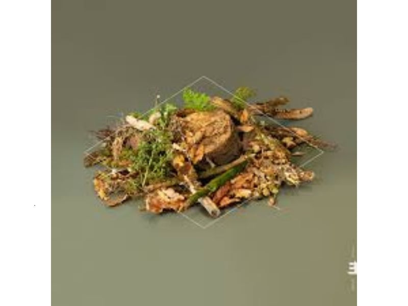 Another landmark year for the SAY in 2022, as Fergus McCreadie became the first jazz artist to win the award for third album 'Forest Floor'. It was also a number one on the UK's Official Jazz & Blues Albums Chart.