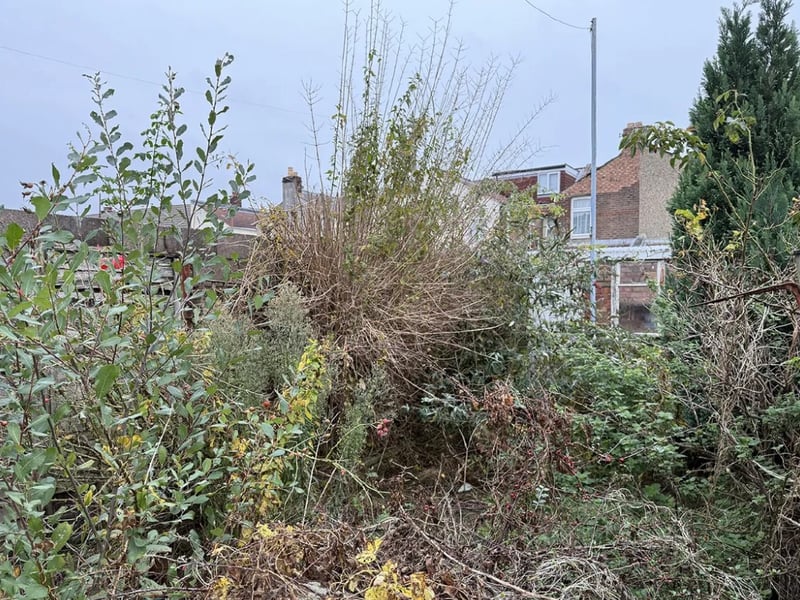 This home comes with a garden which would need some tlc but it could be lovely.