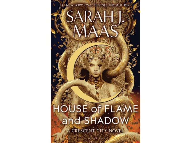 The third of Sarah J. Maas' hugely popular 'Crescent City' series is in sixth place. 'House of Flame and Shadow' is another slice of sexy fantasy which has been shelved 746,000 times this year. "Bryce Quinlan is stranded in a strange new world. She's going to need all her wits about her to get home again and return to everything she loves. But that's no easy feat when she has no idea who to trust. Meanwhile, Hunt Athalar is back in the Asteri's dungeons. Stripped of his freedom and the happiness he'd fought so hard for, he's without a clue as to Bryce's fate. Hunt is desperate to help his mate, but until he can escape the Asteri's chains, his hands are quite literally tied."