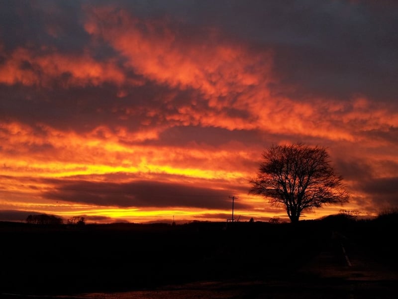 There are also plenty of places on the east coast of Scotladn where you are likely to see a dramatic sunset, including in and around Arbroath, the largest town in Angus which lies on the North Sea coast north of Dundee. This amazing picture was taken on the road between Arbroath and Brechin.