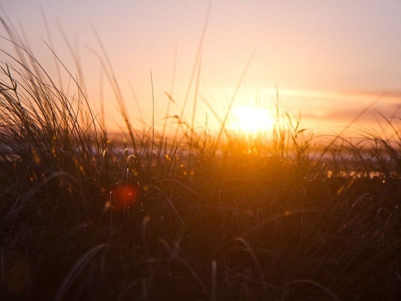 Because the sun sets in the west, the west coast is the best place for a sunset over the sea. Findhorn Beach, in Moray, is a case in point.