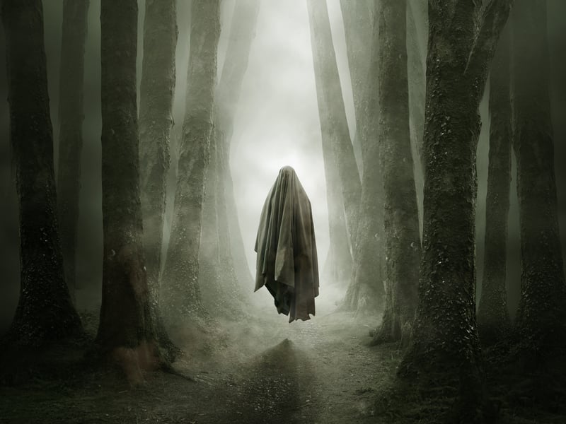 Meanwhile, the only supernatural concept to make the top ten, just 10% of Scottish people have a fear of ghosts.