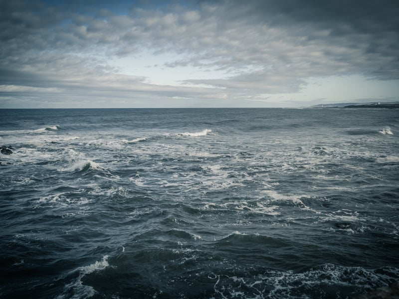 For a nation surrounded by water, 34% of those surveyed shared that they were afraid of deep water. 
