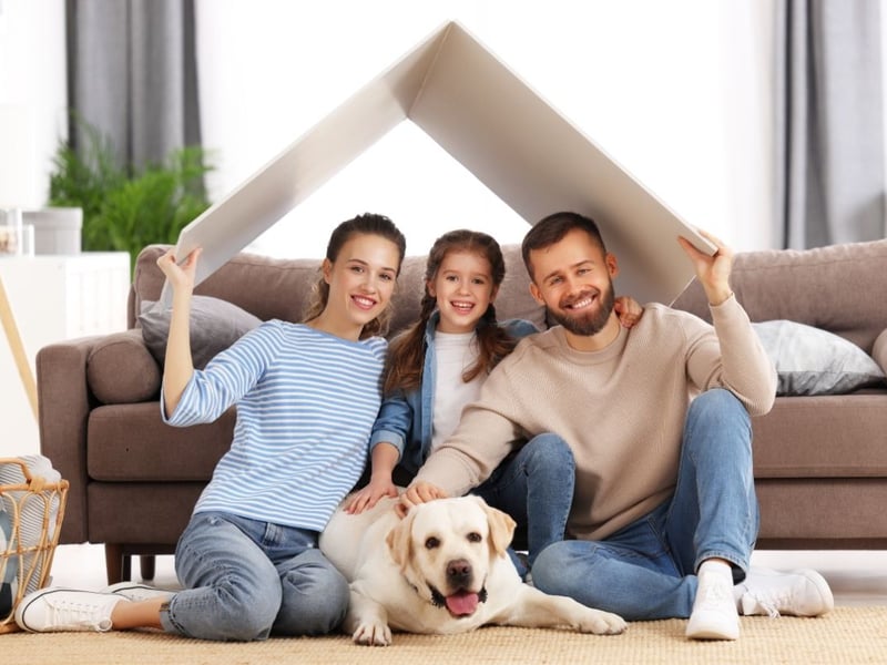 Be available for your dog and ensure they are not left alone. Make sure to sit in a space where your dog can easily seek you out if they want to. 