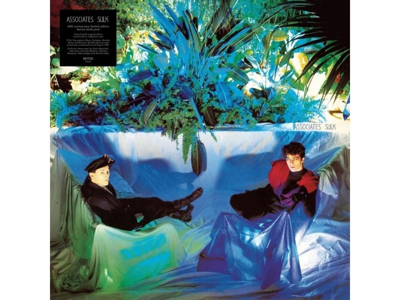 Crowned the best album of 1982 by Melody Maker, 'Sulk' was the second studio record by the Scottish post-punk band the Associates. It was the Dundoneon outfit's breakthrough, hitting the top 10 in the UK album charts and spawning classic single 'Party Fears Two'.