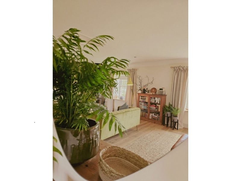 The eco-friendly owners will plant a tree for each booking made - meaning you can have a guilt-free break.