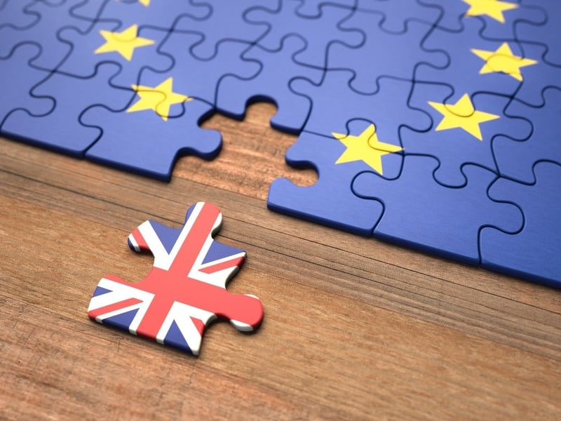 There was one news story that dominated the headlines in 2016, as the UK voted to leave the European Union in a hugely divisive referendum - resulting in the term 'Brexit'. It beat hygge, mic drop, Trumpism, throw shade, sharenting, snowflake generation, dude food, uberization and JOMO to the crown.