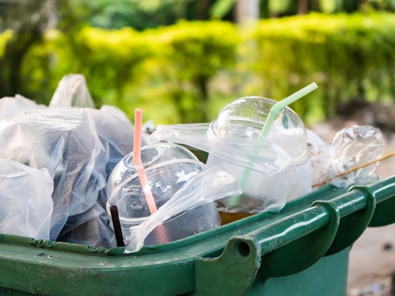 Simply meaning "made to be used once only", 'single-use' led the way in 2018 due to increasing awareness of the impact single-use plastics were havingon the environment, from bags and straws, to disposable cutlery and cups. The other words highlighted were backstop, floss, gammon, gaslight, MeToo, plogging, VAR, vegan and whitewash.