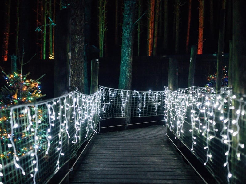 Christmas Wonderland at The Jungle is the ultimate festive day out for families, where colourfully illuminated woodlands, friendly elves and sacks of festive cheer set the scene for a different kind of family day out at The Jungle, Moneymore, Magherafelt, from November 30 to December 23 2024.