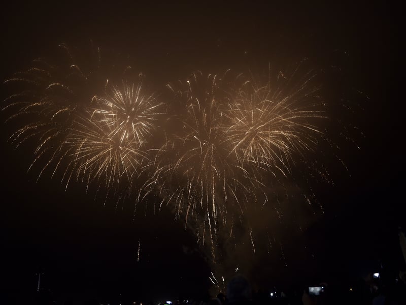 The Ageas Bowl Firework display, in Southampton, will take place on Friday,  November 7. 