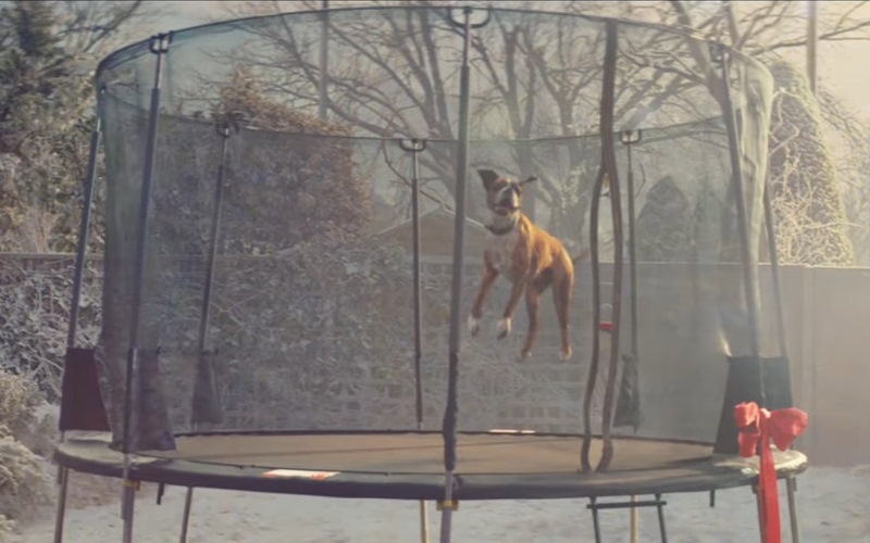 Tears of laughter for this one, as Buster the boxer dog sees a succession of animals enjoy bouncing on a newly-erected trampoline. He finally gets a go on Christmas Day, ahead of the little girl whose present it is. Vaults' cover of Randy Newman's 'One Day I'll Fly Away' soundtracks.