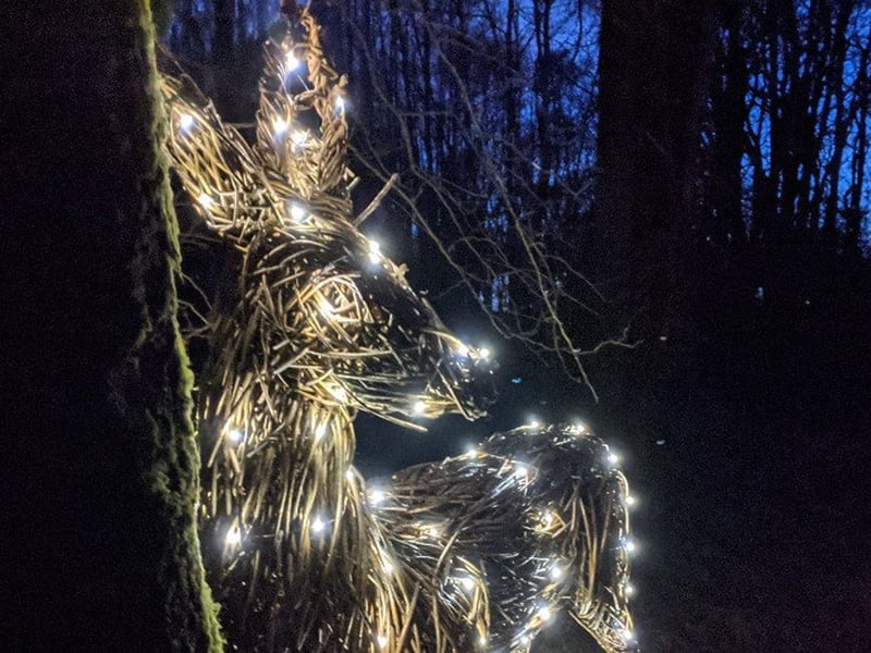 Join us at RSPB Loch Lomond for a magical moonlit meander around the reserve after hours. Design and decorate your own recycled glass lantern, then head off along our candlelit trail. Along they way look and listen out for creatures that only come out after dark, before enjoying a complimentary hot chocolate around the fire from November 29 to December 1 2024.