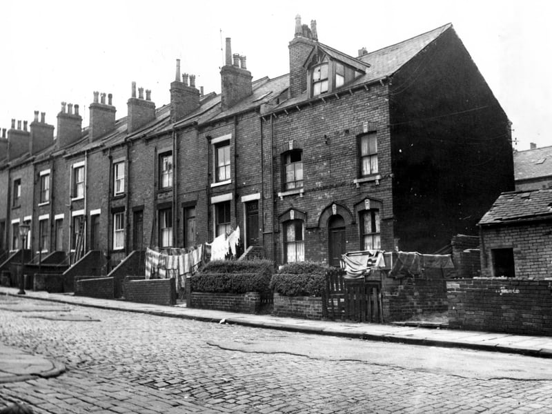 Servia Grove in August 1967. Number 28 with washing in the garden was owned by June (Ginny) Fawcett. It was used as a film location for the 1963 film 'This Sporting Life', starring Richard Harris, William Hartnell and Rachel Roberts. There are interior shots in the film and exterior views from 27 Servia Terrace, the front of the house.