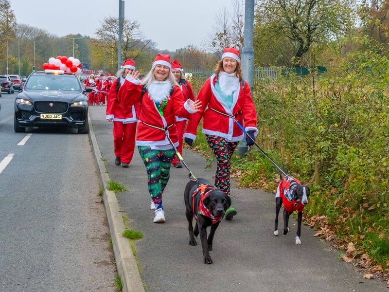 More doggy santas with their owners