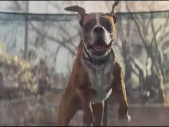Controversially, I was underwhelmed by Buster the Boxer when it was first released in 2016. But it did follow two super iconic and super strong efforts - and it is more fun than profound/ life-affirming. Yet on rewatch it is charming and will probably make you smile, it is just not in the hallowed halls of John Lewis’ all time greats. Rating: 3 Jingle Bells. 