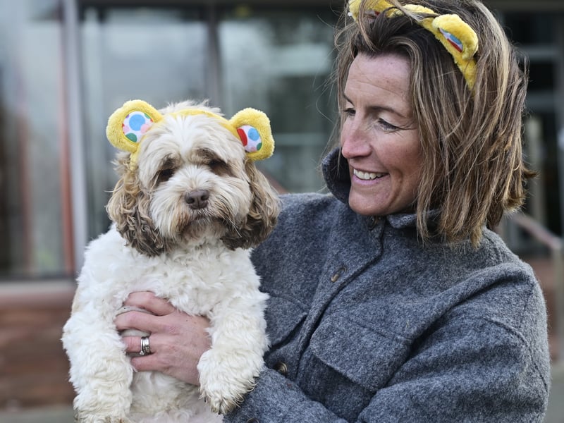 A four-legged friend waits for Paddy to arrive at the finishing line.